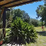 Villa Mimosa *
