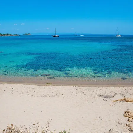 فيلة Mimosa بولا