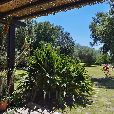 Villa Mimosa